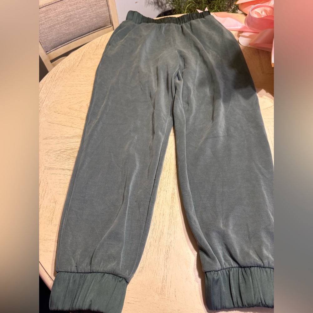 Express Green Velvet Jogger Pants